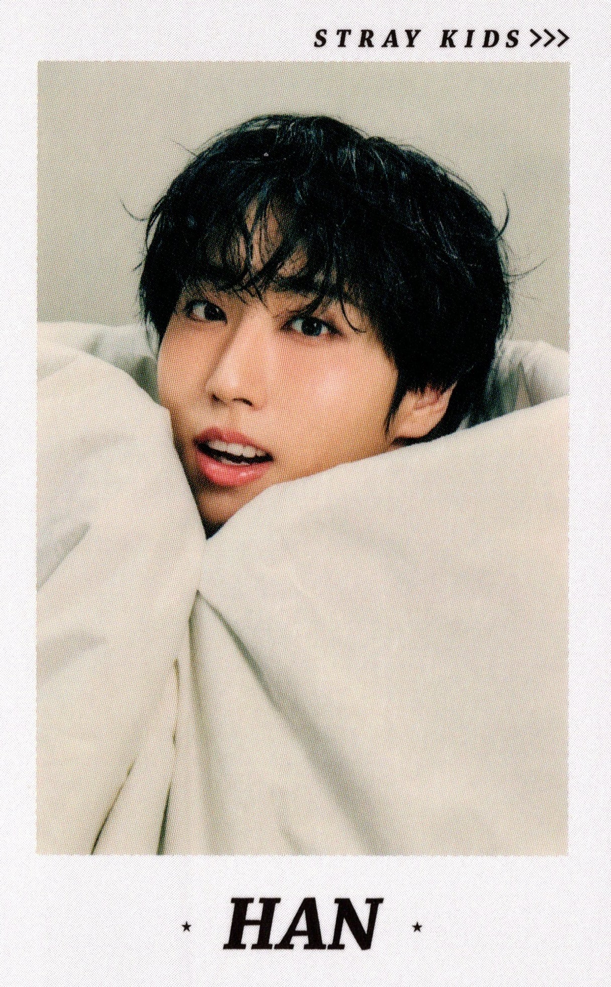 Stray Kids World Tour RUN IT Japan Photocard B