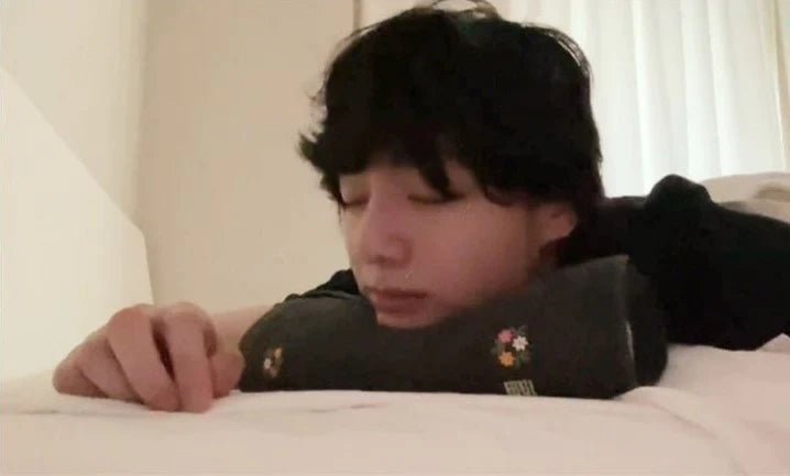 BEGOZANI PIGMENT PILLOW (BTS Jungkook Neck Pillow) – Merchandise (30cm / / ) | HobiEgo