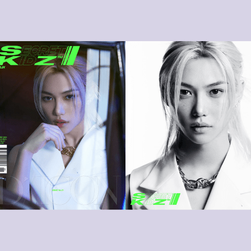 DICON VOLUME N°21 STRAY KIDS : B - SECRET KIDZ – Dicon (Felix / / ) | HobiEgo