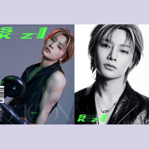 DICON VOLUME N°21 STRAY KIDS : B - SECRET KIDZ – Dicon (I.N. / / ) | HobiEgo