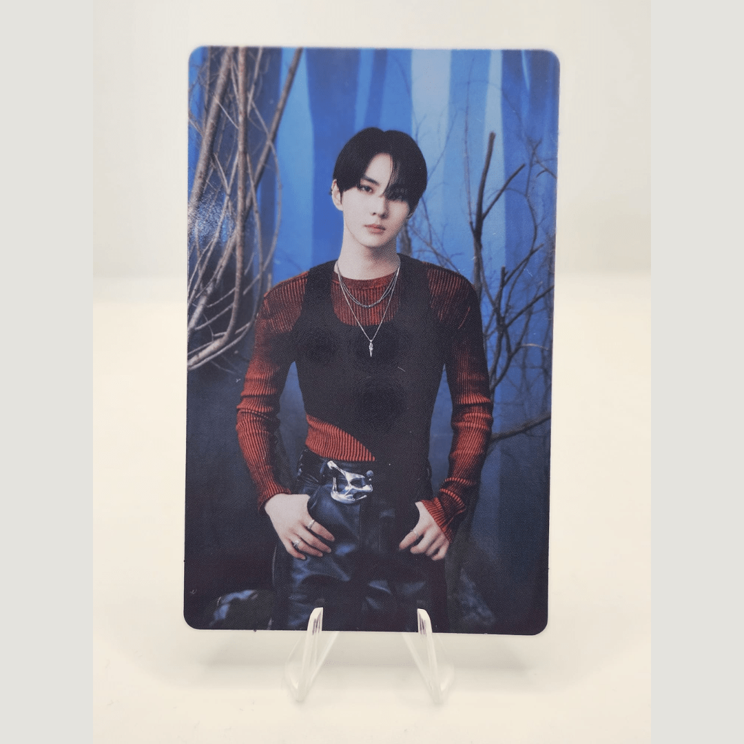 ENHYPEN Walk the Line World Tour Official Trading Photocard (JUNGWON Version) – Photocards (Jungwon 1 / / ) | HobiEgo