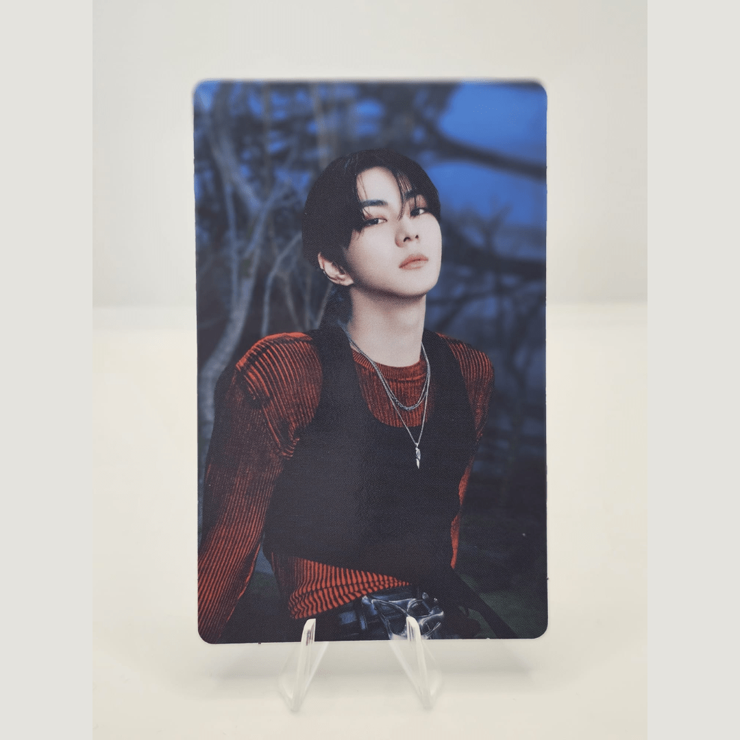 ENHYPEN Walk the Line World Tour Official Trading Photocard (JUNGWON Version) – Photocards (Jungwon 5 / / ) | HobiEgo