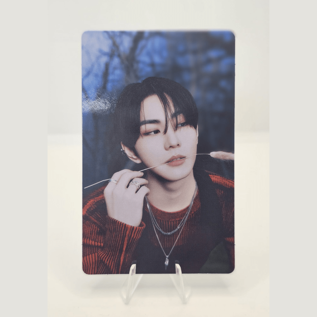 ENHYPEN Walk the Line World Tour Official Trading Photocard (JUNGWON Version) – Photocards (Jungwon 7 / / ) | HobiEgo