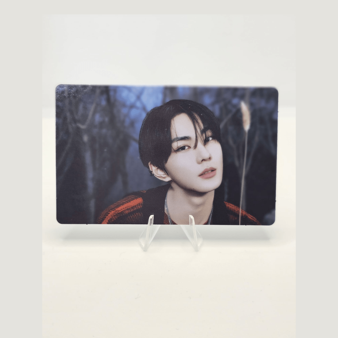 ENHYPEN Walk the Line World Tour Official Trading Photocard (JUNGWON Version) – Photocards (Jungwon 8 / / ) | HobiEgo