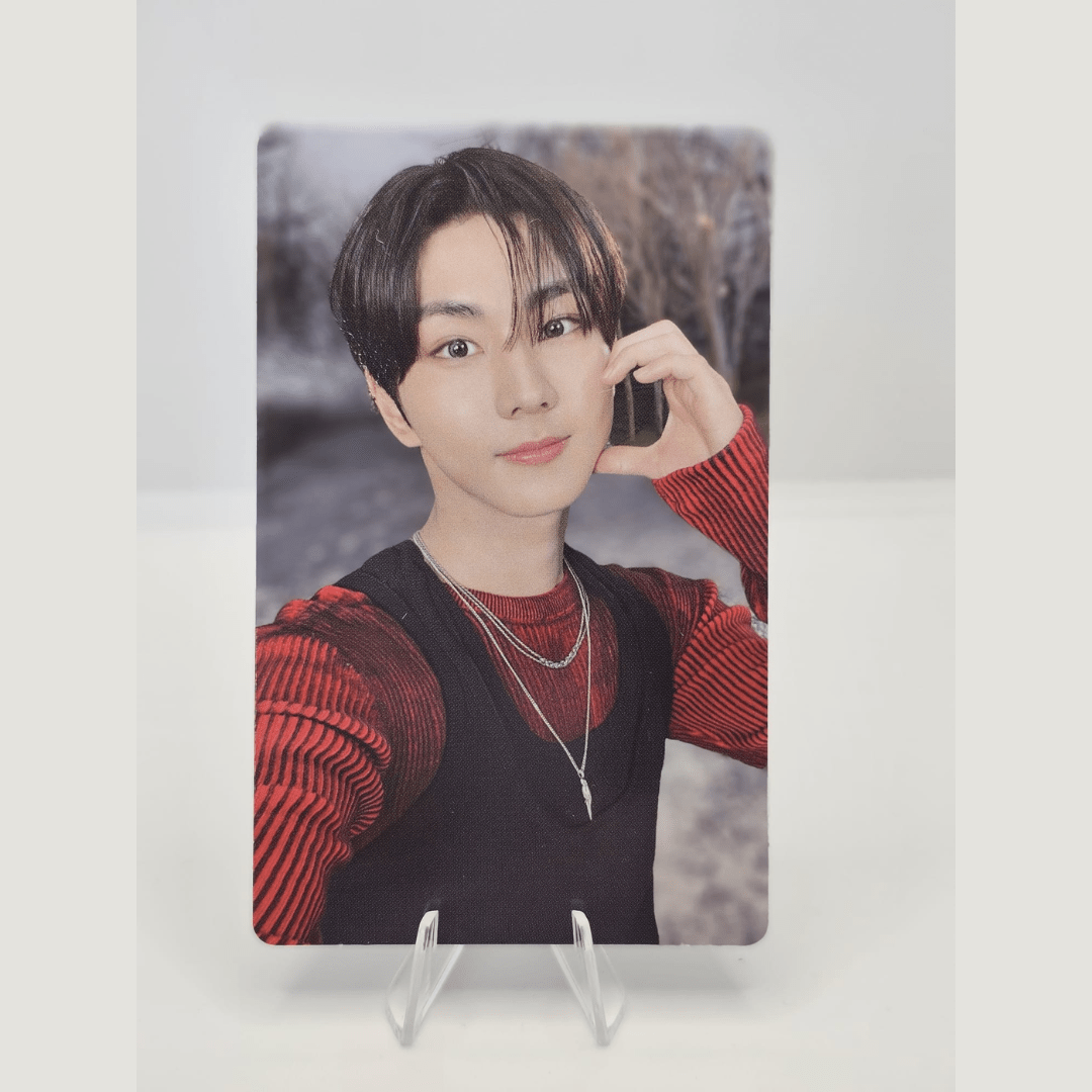ENHYPEN Walk the Line World Tour Official Trading Photocard (JUNGWON Version) – Photocards (Jungwon Selfie / / ) | HobiEgo