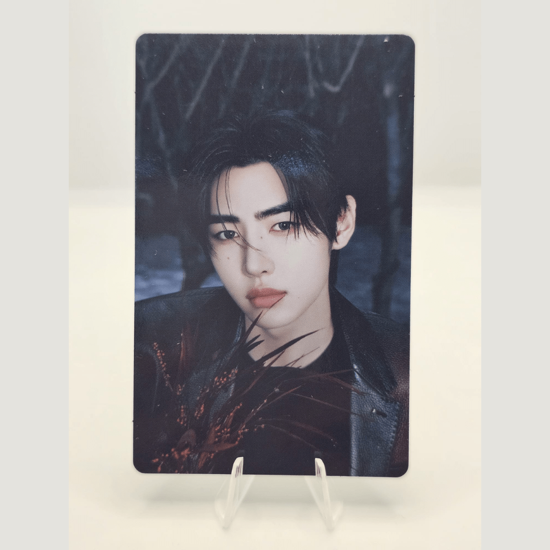 ENHYPEN Walk the Line World Tour Official Trading Photocard (SUNGHOON Version) – Photocards (Sunghoon 7 / / ) | HobiEgo