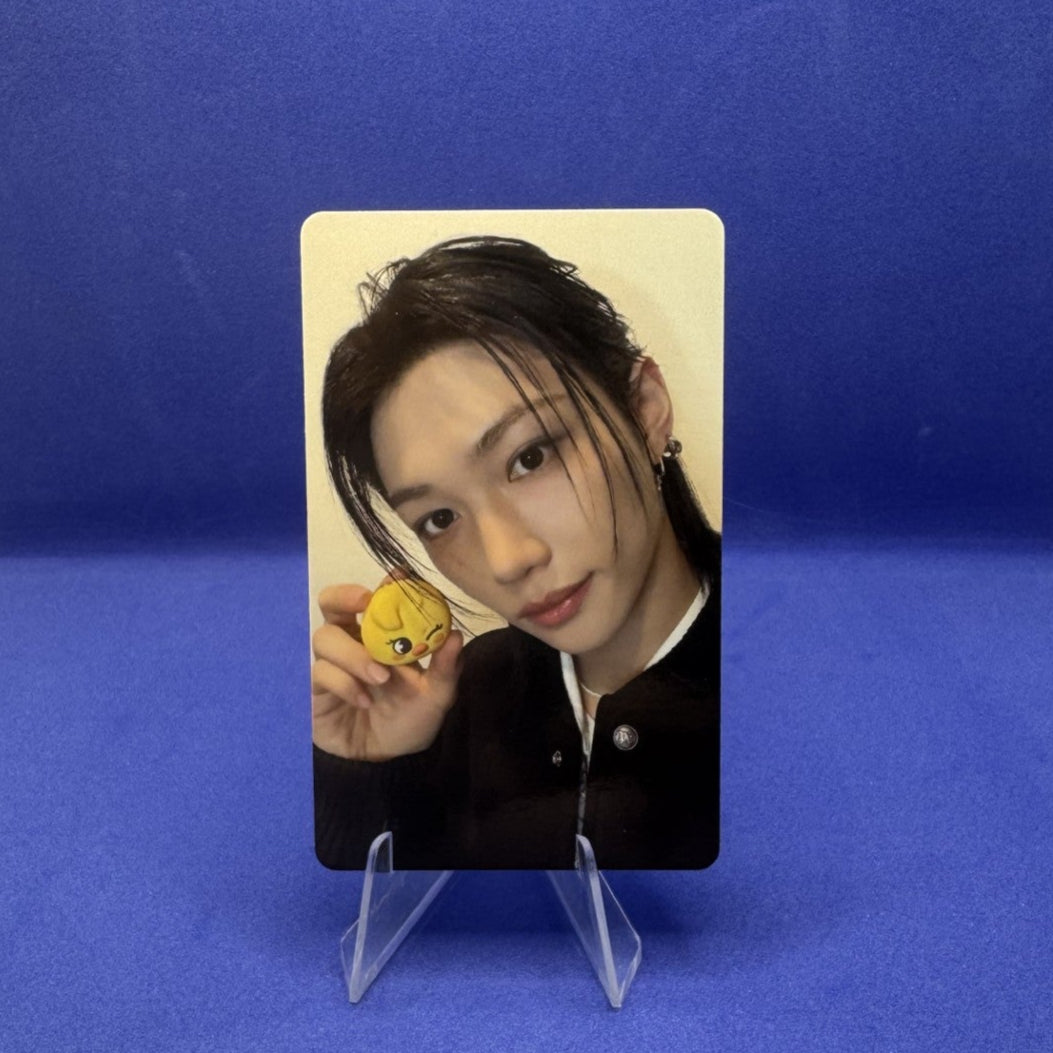 Stray Kids SKZOO X TAMAGOTCHI Photocards