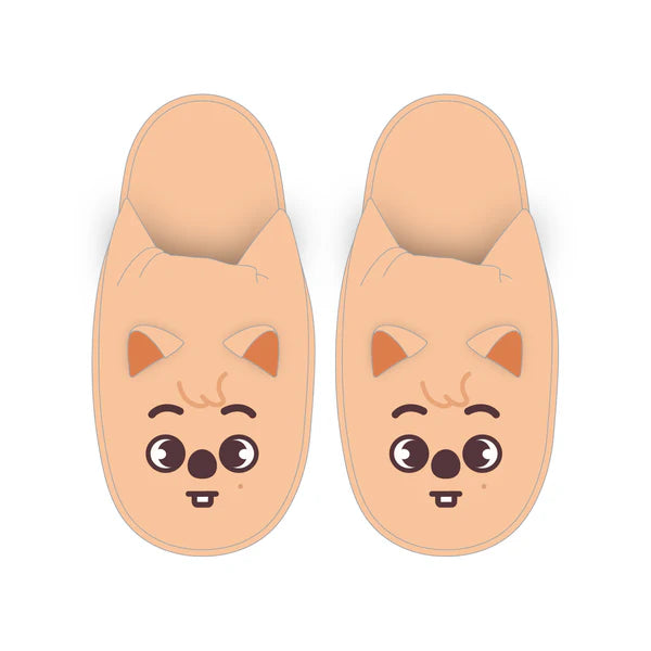Stray Kids JAPAN 6TH ANNIVERSARY FC MD SKZOO Slippers