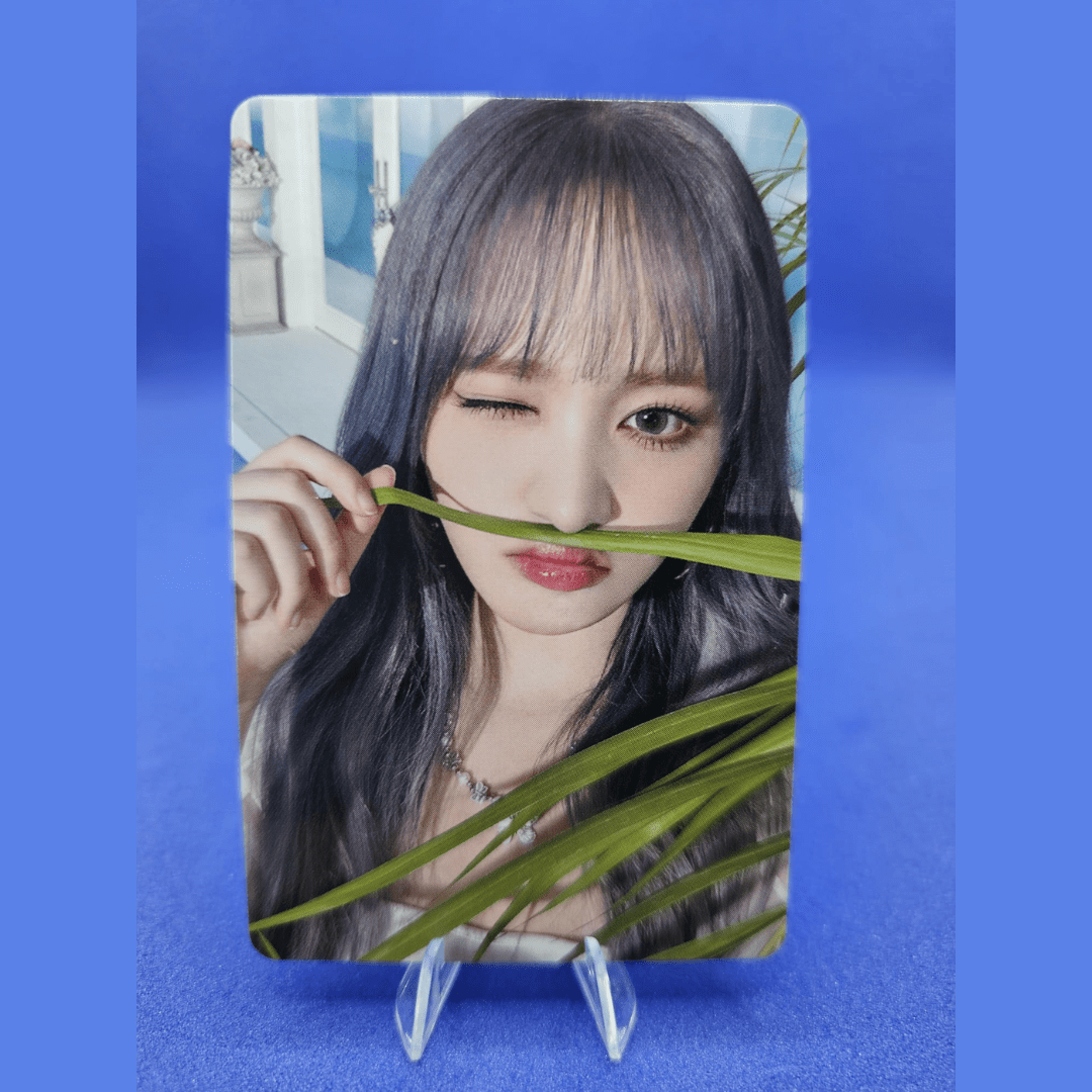 IVE ALIVE Japanese Album HMV Photocards – Photocards (Liz / / ) | HobiEgo