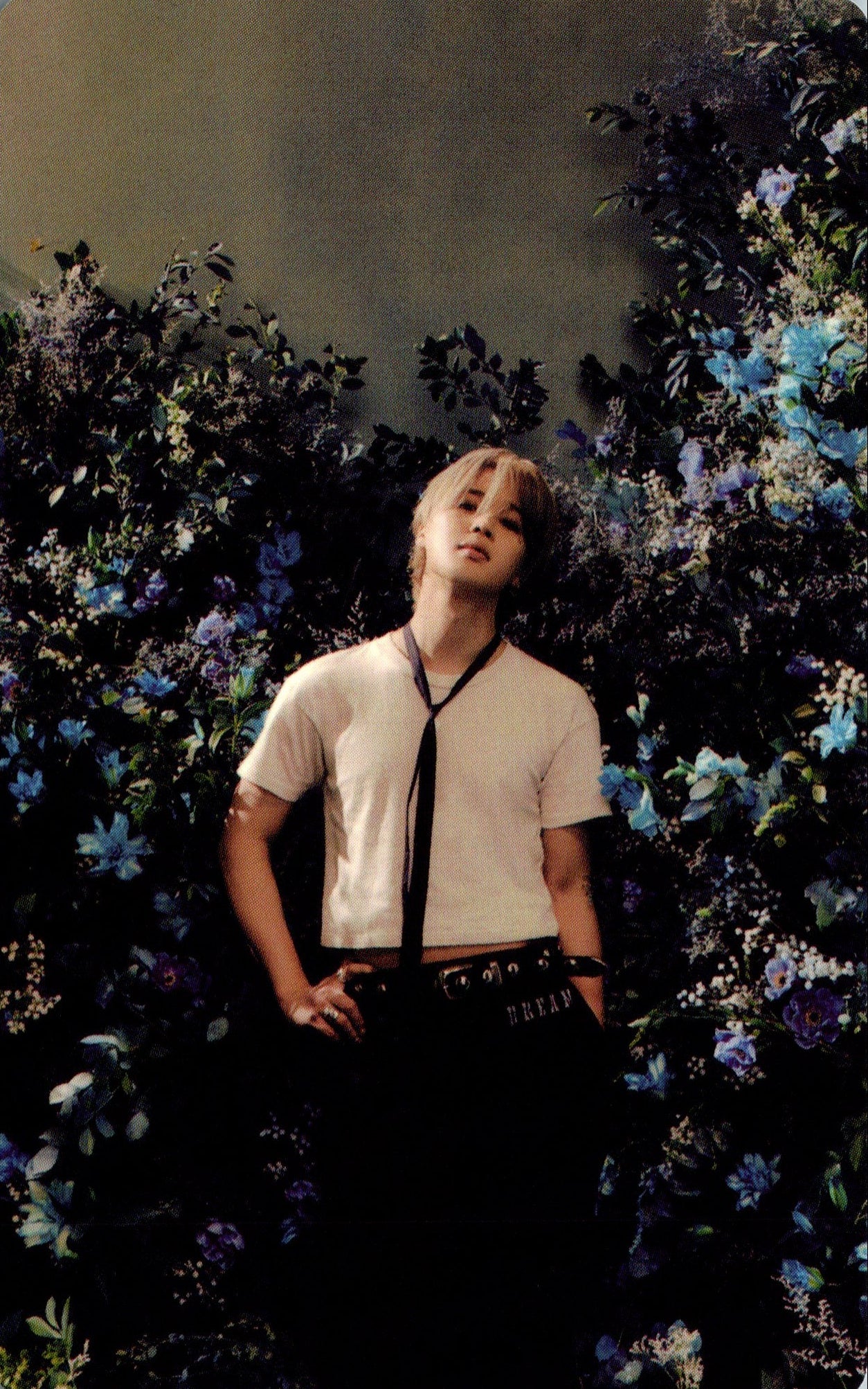 JIMIN (BTS) MUSE Weverse Photocards – photocard (D / / ) | HobiEgo K - pop Shop