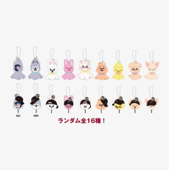 Stray Kids World Tour DominATE Random Mini Picket Keychain