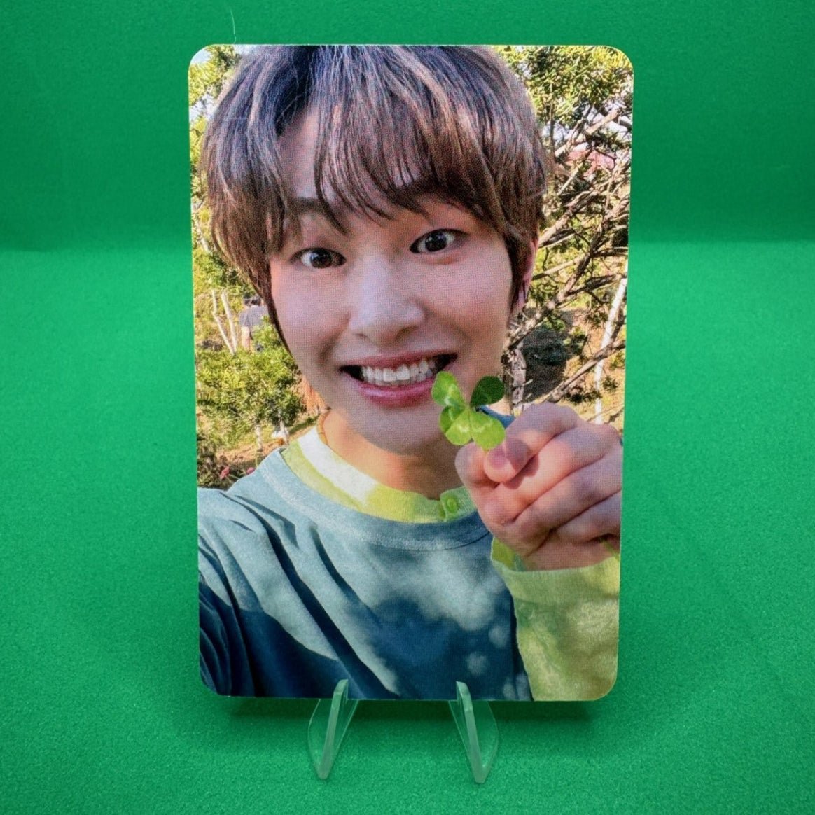 ONEW 4th Mini Album CONNECTION Apple Music Photocards – Photocards (B / / ) | HobiEgo