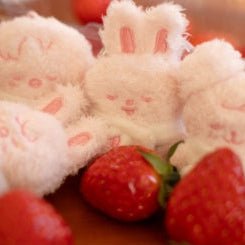 PRE - ORDER Stray Kids STAY in Our Little House - SKZOO SECRET PLUSH MICRO Version Random – merch (FoxI.Ny / / ) | HobiEgo K - pop Shop
