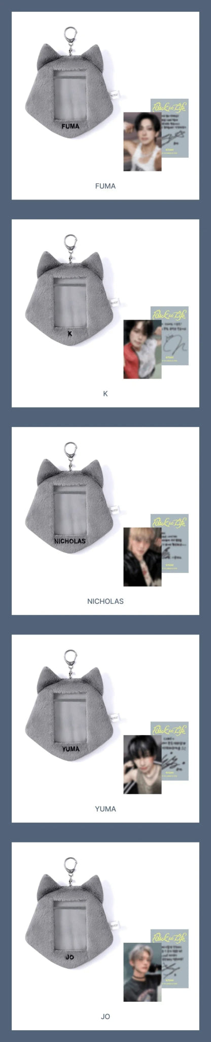 PRE - ORDER &TEAM BACK TO LIFE Official MD Photocard Holder – merch (K / / ) | HobiEgo