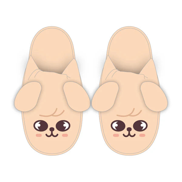 Stray Kids JAPAN 6TH ANNIVERSARY FC MD SKZOO Slippers