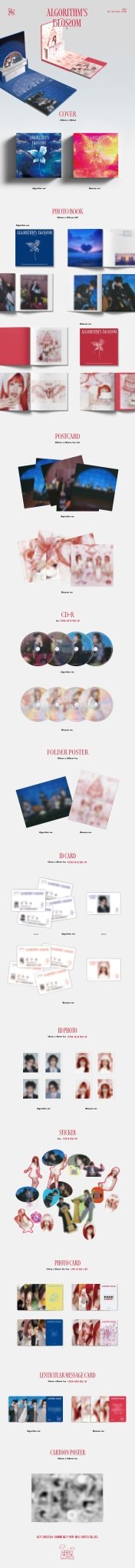 QWER 2nd Mini Album Algorithm's Blossom – album (Algorithm (BLUE) / / ) | HobiEgo