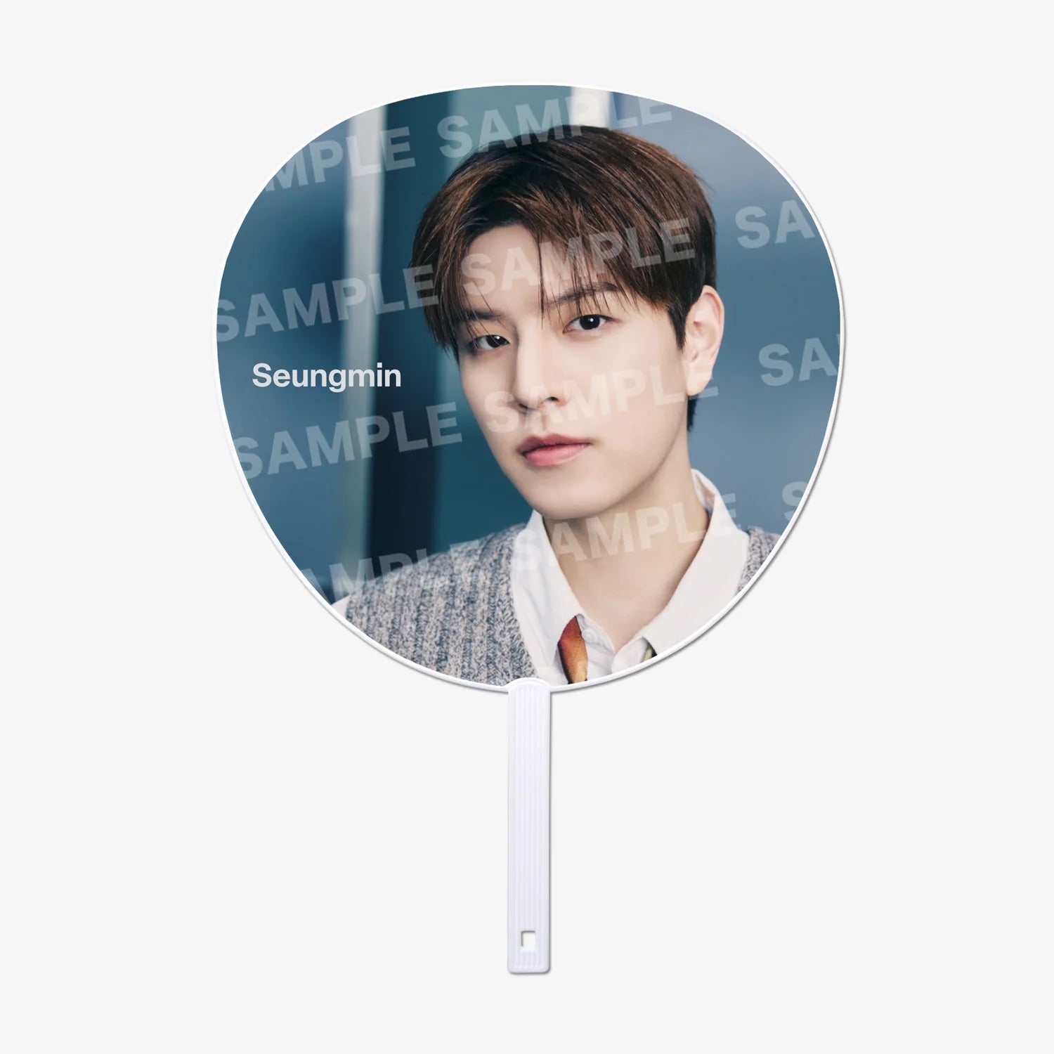 PRE-ORDER World Tour RUN IT JAPAN IMAGE PICKET