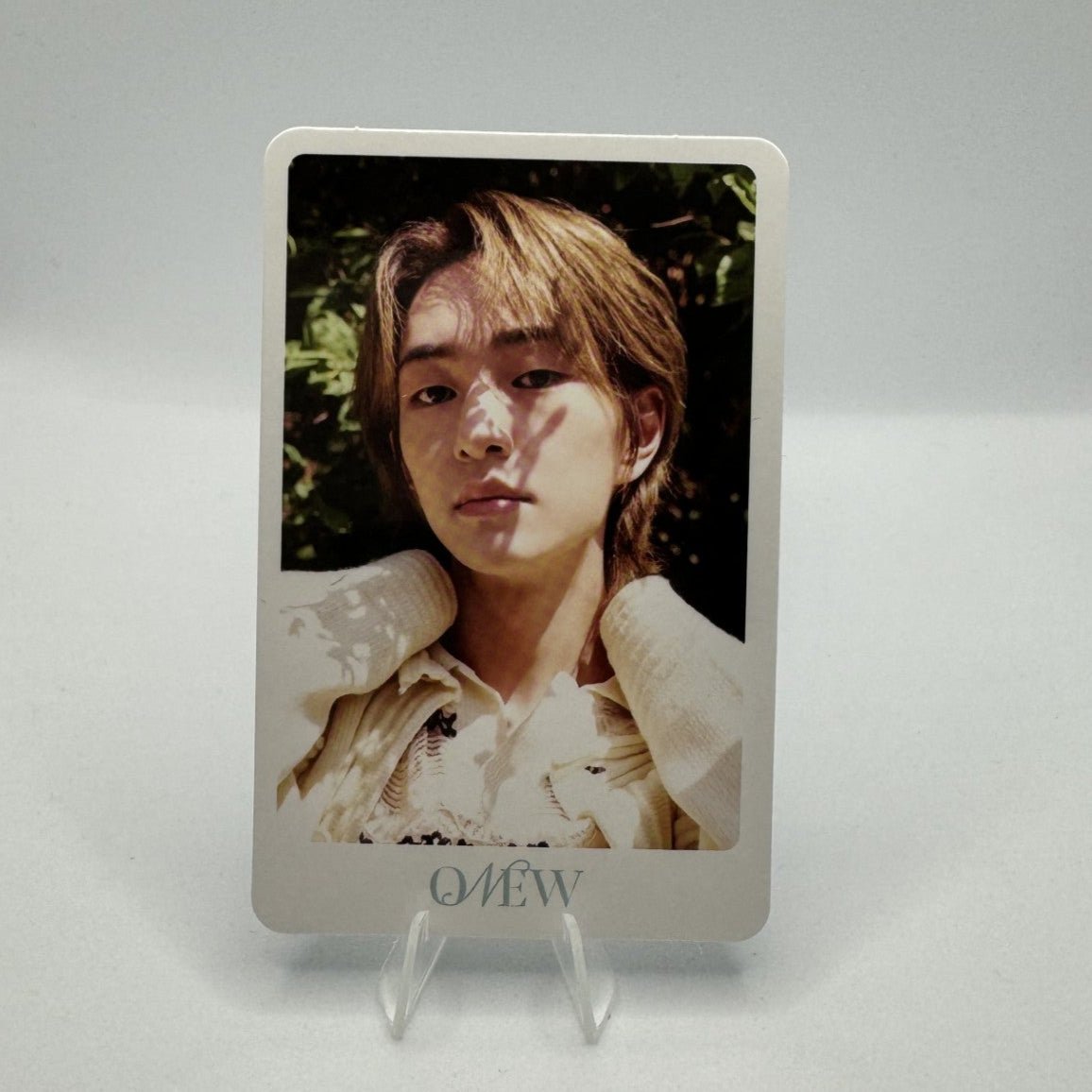 SHINEE 15th Anniversary The Moment of Shine Photocards Concept Version – Photocards (Onew 2 / / ) | HobiEgo