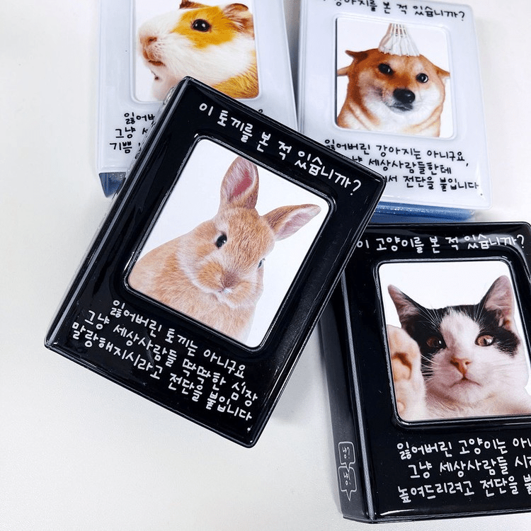 SOOANG Studio Flyer Collect Book – Photo Book (Bunny / / ) | HobiEgo