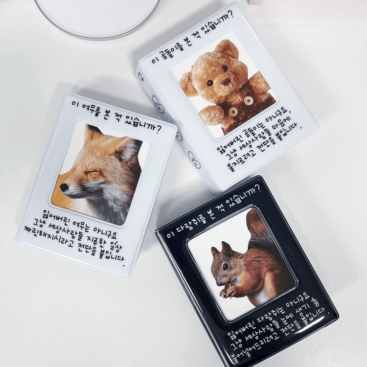 SOOANG Studio Flyer Collect Book – Photo Book (Teddy Bear / / ) | HobiEgo
