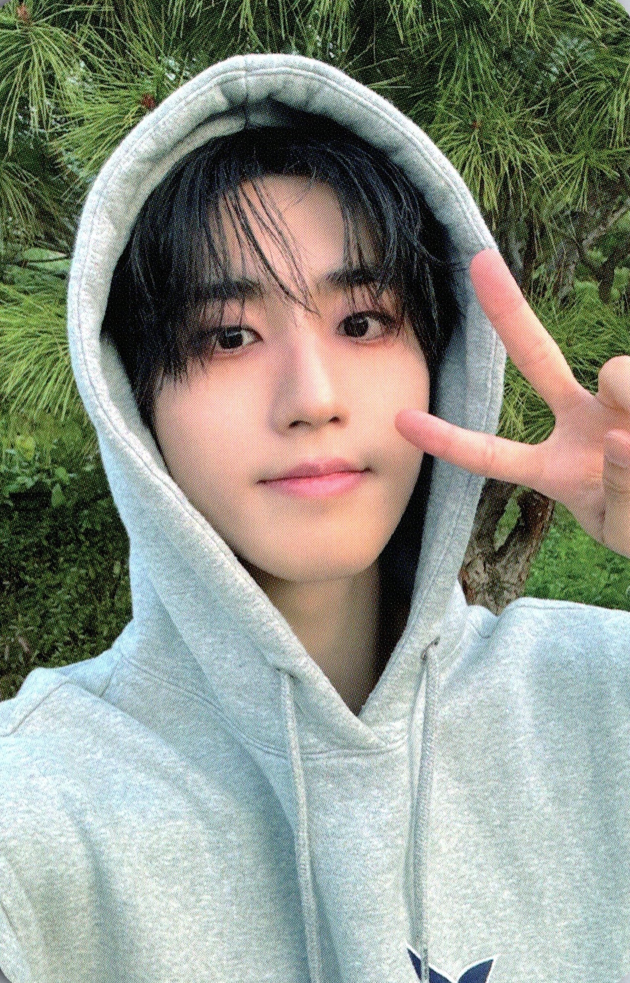 STRAY KIDS SKZHOP HIPTAPE 合 (HOP) DEAR MY MUSE Photocards – photocard (Han / / ) | HobiEgo K - pop Shop