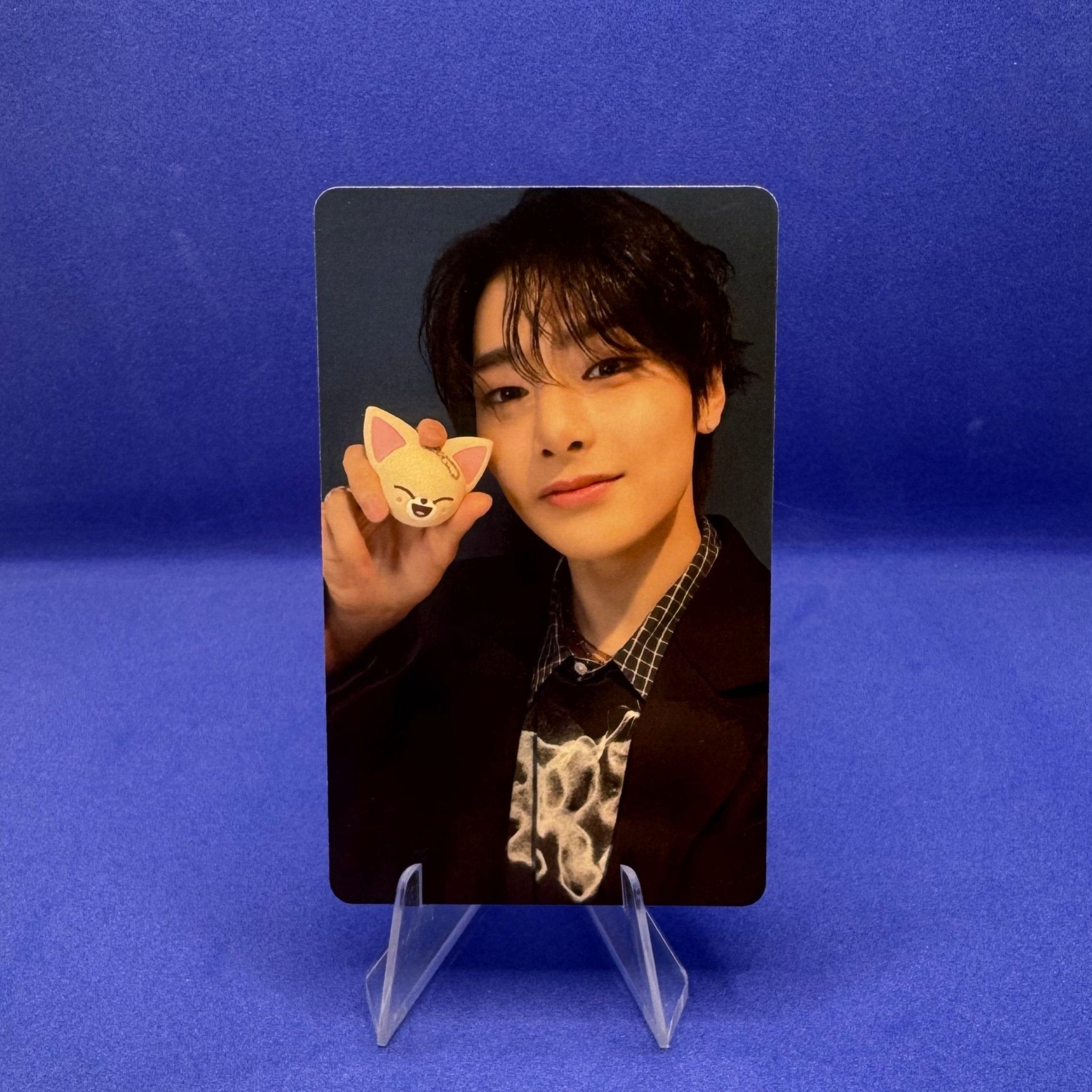 Stray Kids SKZOO X TAMAGOTCHI Photocards – Photocards (I.N. / / ) | HobiEgo