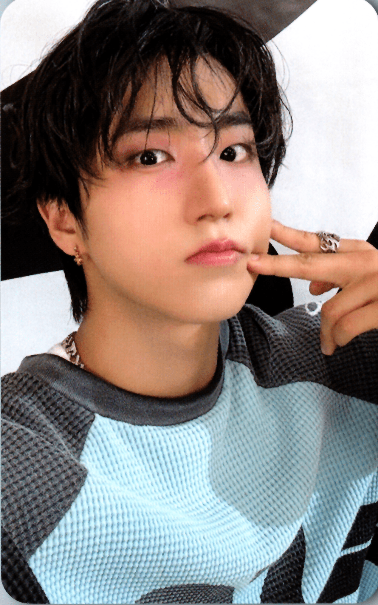 STRAY KIDS World Tour dominATE : celebrATE Pop - Up Store Photocards – photocard (Han / / ) | HobiEgo