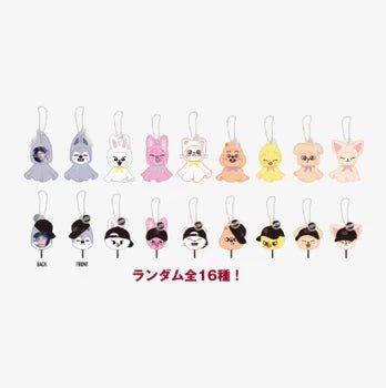Stray Kids World Tour DominATE Random Mini Picket Keychain – Keyring ( / / ) | HobiEgo