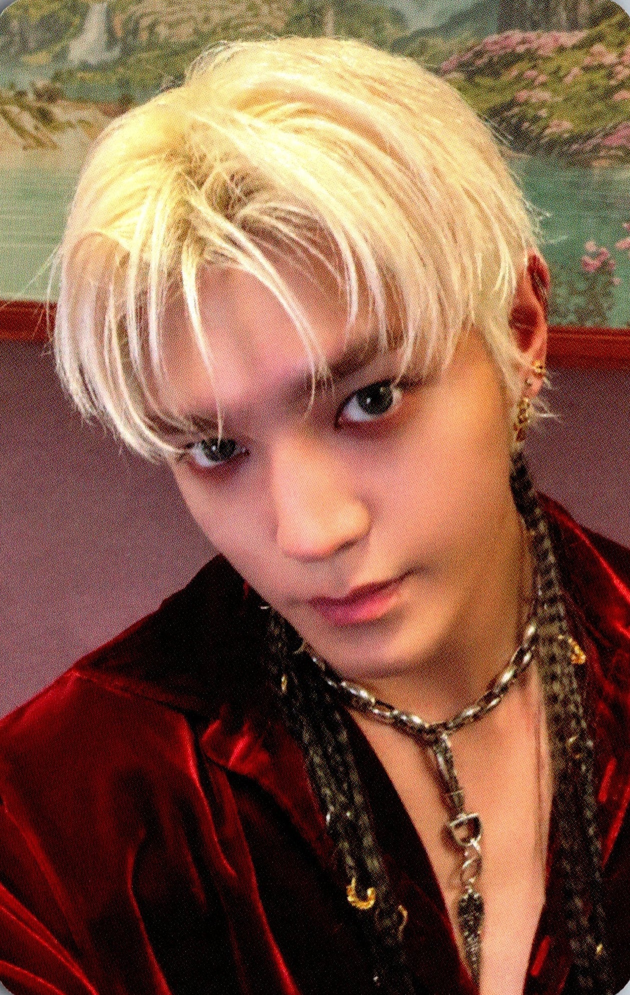 TAEYONG (NCT) 1st Full Album WYLD APPLE MUSIC Photocards – photocard (B / / ) | HobiEgo K - pop Shop