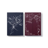 &TEAM KR 2nd Mini Album Mark on Me