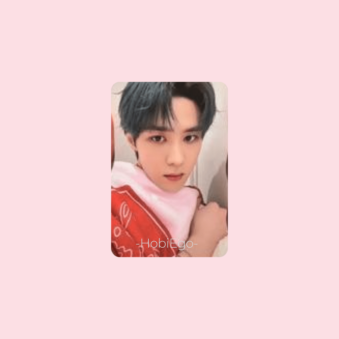 WayV 2024 Pink Christmas Photocards – Photocards (Kun 2 / / ) | HobiEgo