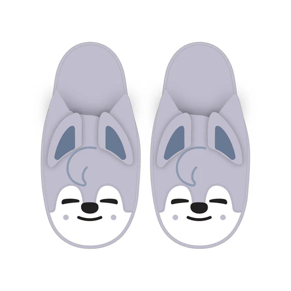 Stray Kids JAPAN 6TH ANNIVERSARY FC MD SKZOO Slippers