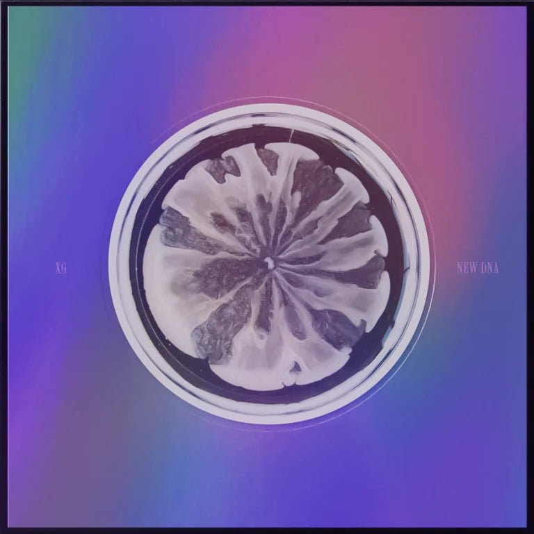 XG 1st Mini Album NEW DNA – album (X / / ) | HobiEgo