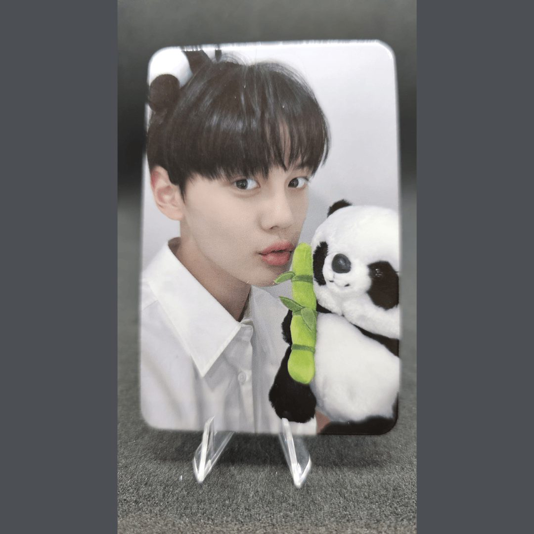 ZEROBASEONE 3rd Mini Album You had me at HELLO APPLE MUSIC Photocards – Photocards (Kim Gyu Vin / / ) | HobiEgo
