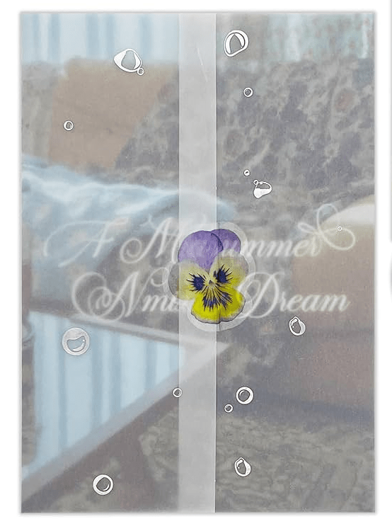 NMIXX 3rd Single Album A Midsummer NMIXX's Dream – album (Athens / / ) | HobiEgo