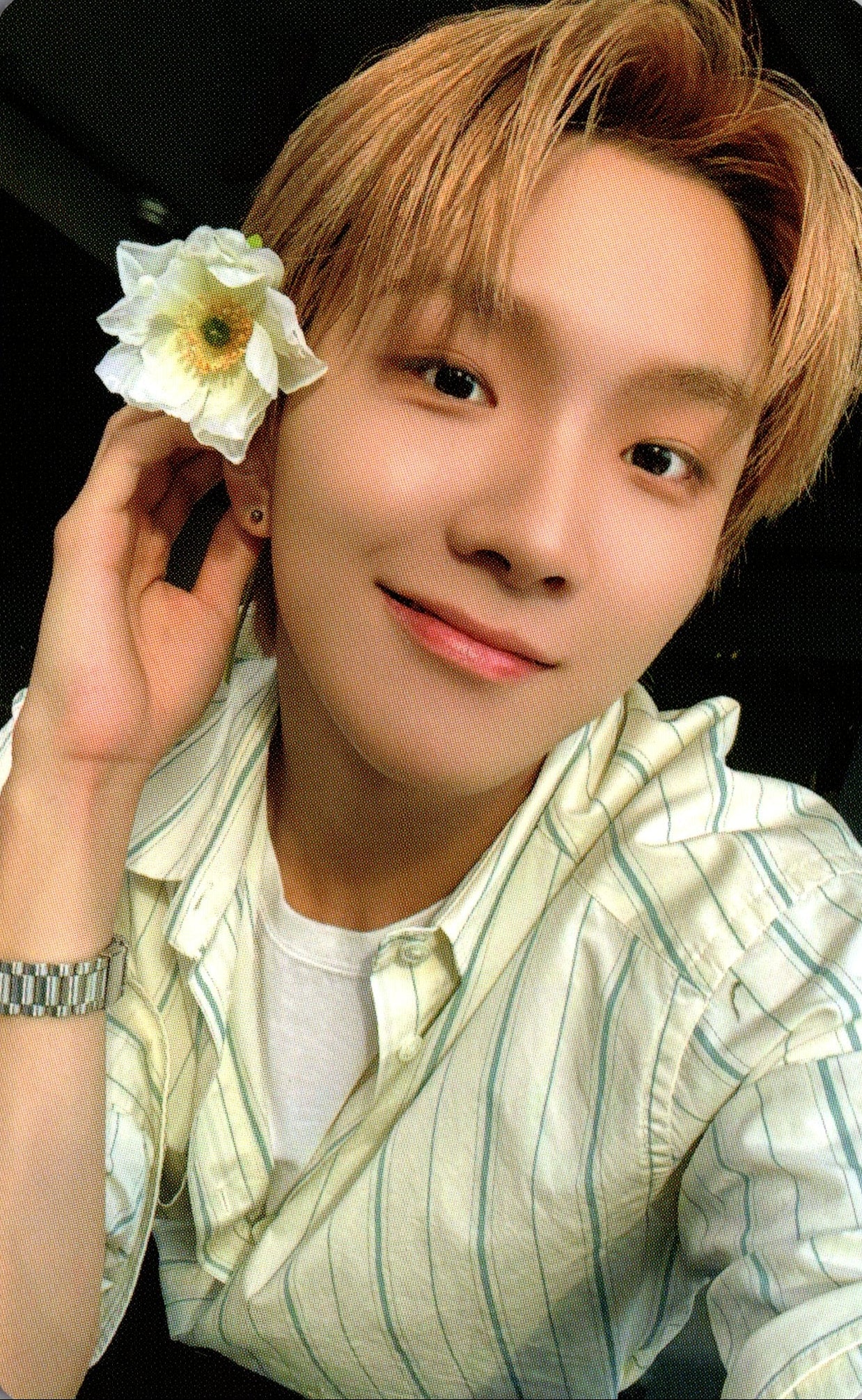 BOYNEXTDOOR 5th Mini Album The Action Weverse Photocards