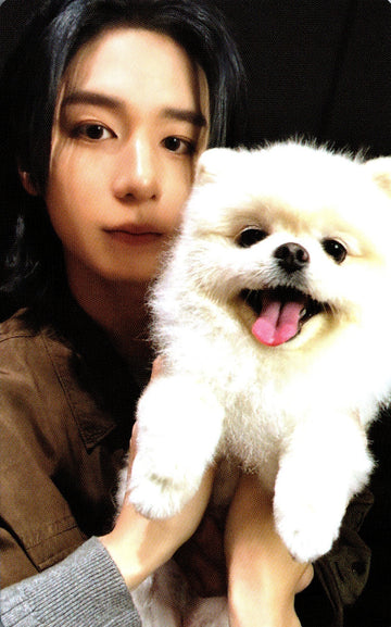 Leehan