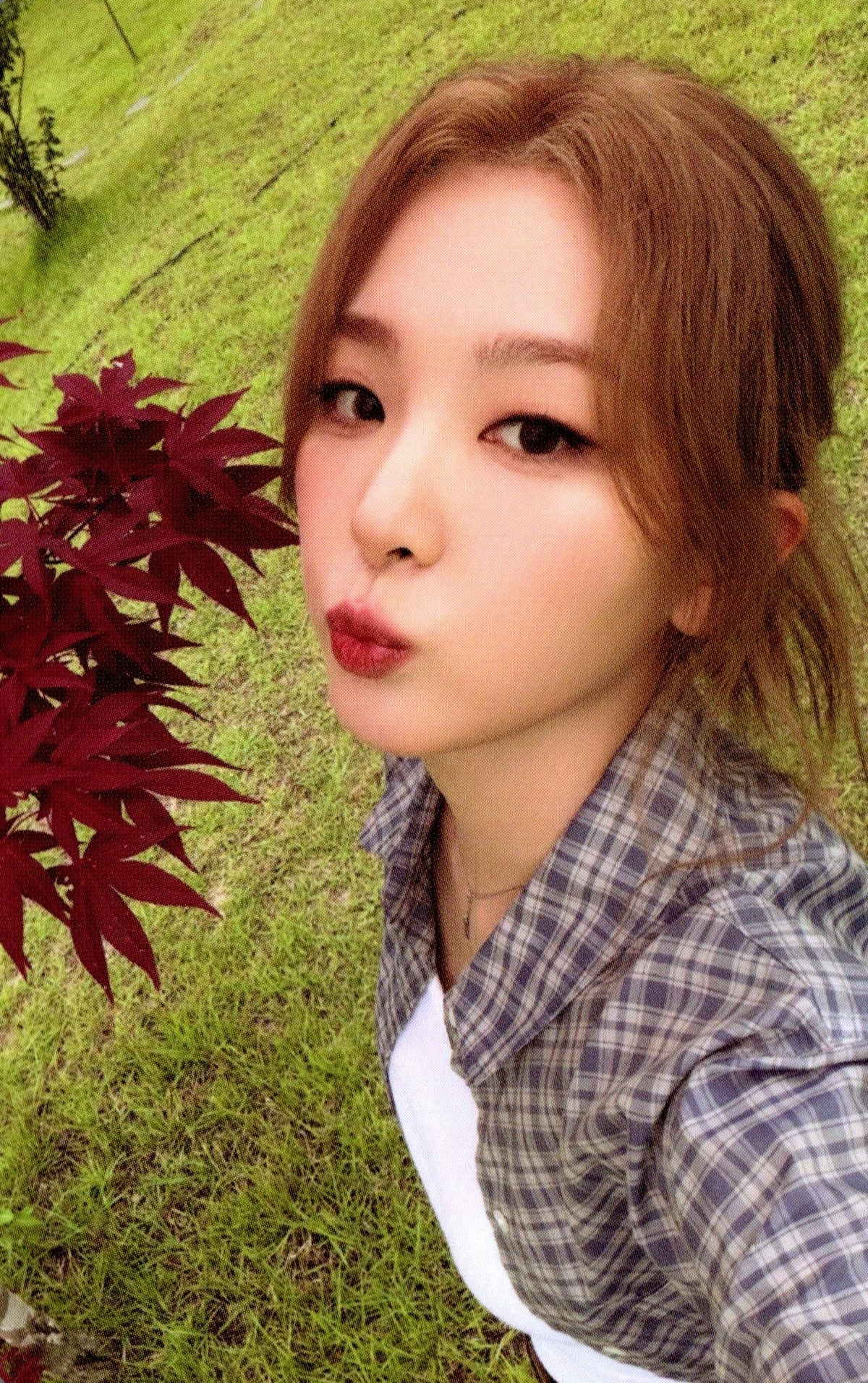 Red Velvet A Day in Red & Velvet Trading Cards