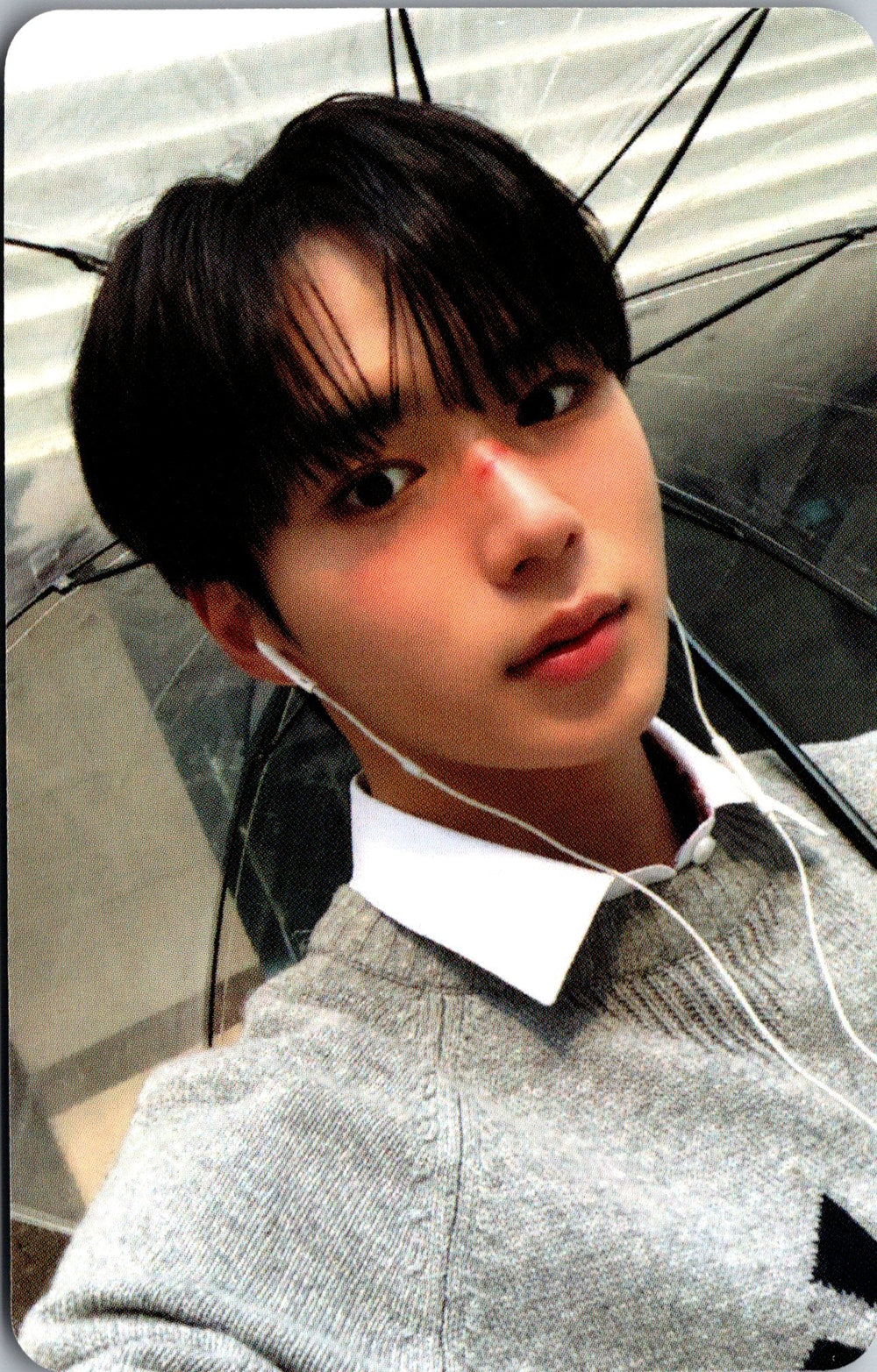ALPHA DRIVE ONE The 1ST Mini Album EUPHORIA APPLE MUSIC FREAK ALARM Version Photocards – photocard  (Junseo / / ) | HobiEgo K - pop Shop