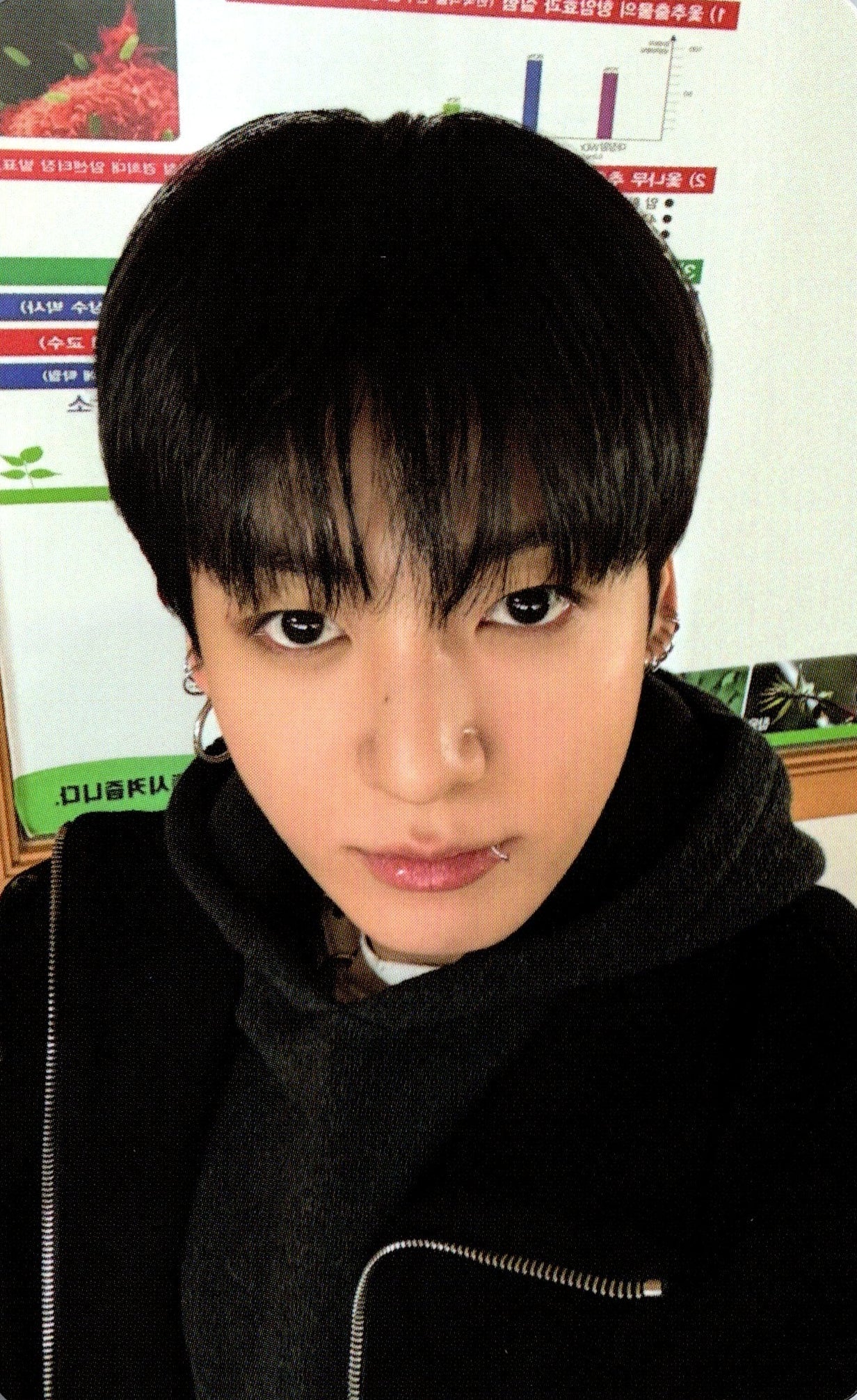 BTS 5th Full Album ARIRANG Weverse B Photocards – photocard  (Jungkook / / ) | HobiEgo K - pop Shop