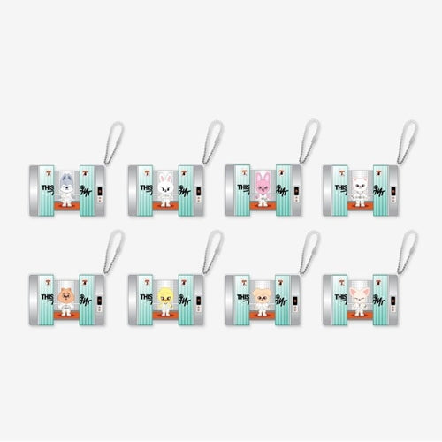 PRE-ORDER Stray Kids THIS & THAT MD SKZOO Capsule Acrylic Keyring