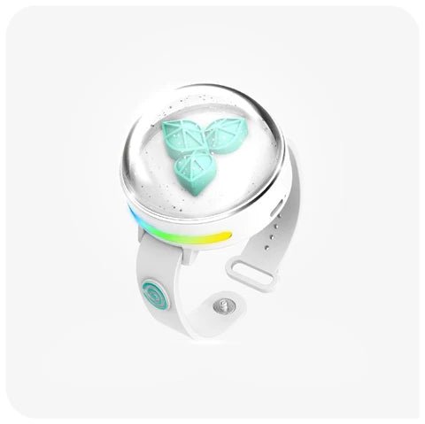 DAY6 Official Light Band Version 3 – lightstick ( / / ) | HobiEgo