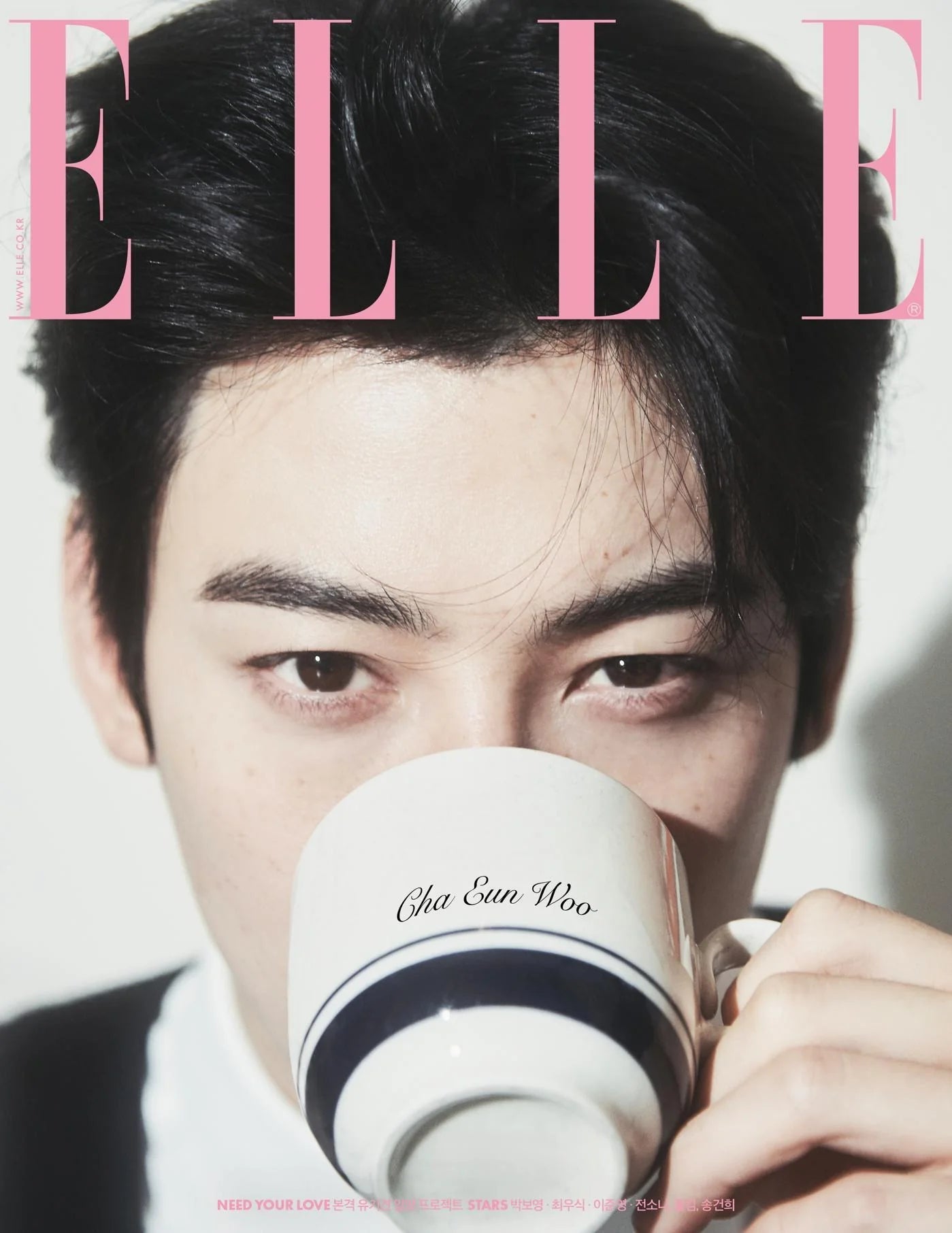 ELLE February 2025 Cha Eun Woo – magazines (B (PINK) / / ) | HobiEgo