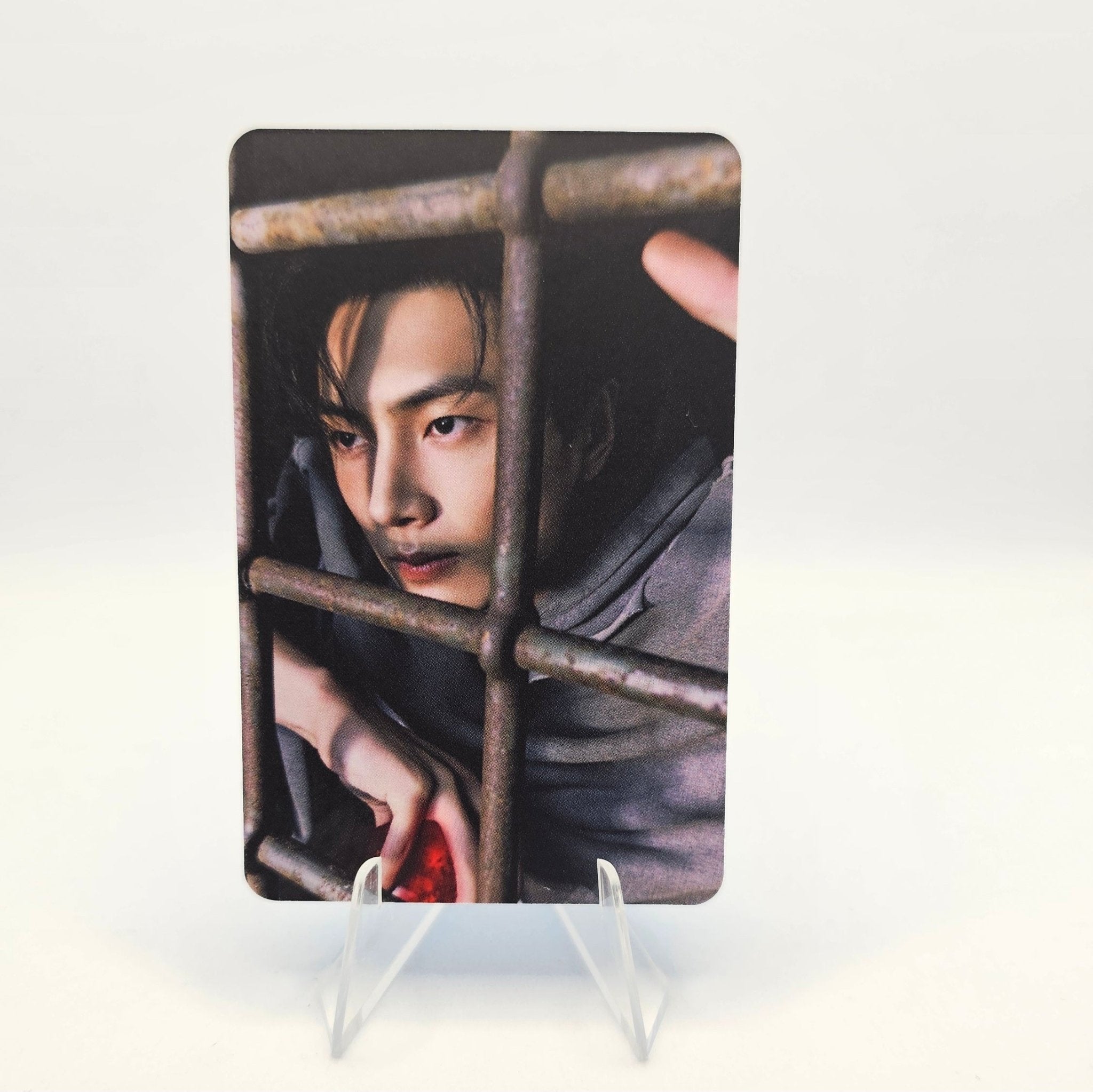 ENHYPEN 7th Mini Album THE SIN : VANISH APPLE MUSIC FUGITIVES Version Photocards – photocard  (Jay / / ) | HobiEgo