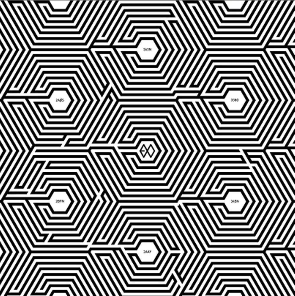 EXO 2nd Mini Album OVERDOSE Chinese Version – album (M / / ) | HobiEgo