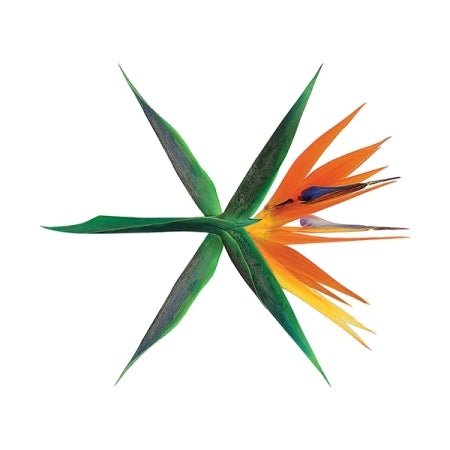EXO 4th Album THE WAR Chinese Version – album (Regular A / / ) | HobiEgo