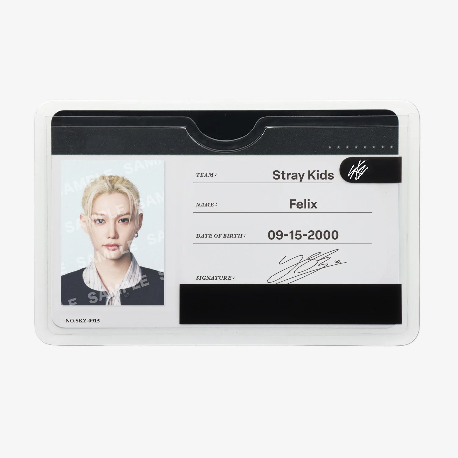 Stray Kids World Tour RUN IT JAPAN PROFILE CARD SET – HobiEgo