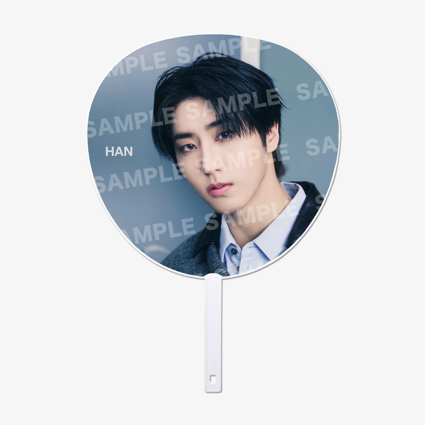 PRE-ORDER World Tour RUN IT JAPAN IMAGE PICKET