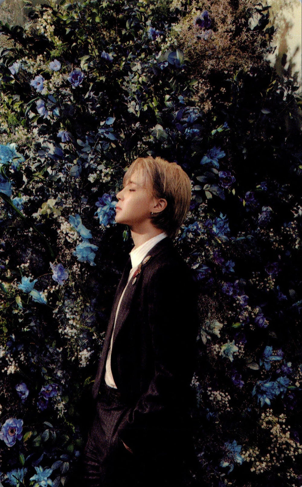 JIMIN (BTS) MUSE Weverse Photocards – photocard  (C / / ) | HobiEgo K - pop Shop