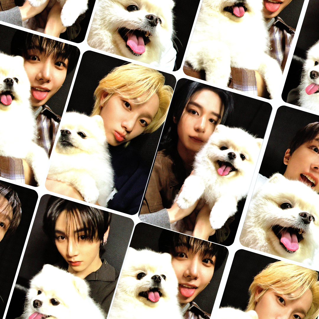 BOYNEXTDOOR 1st Studio Album HOME Weverse Photocards